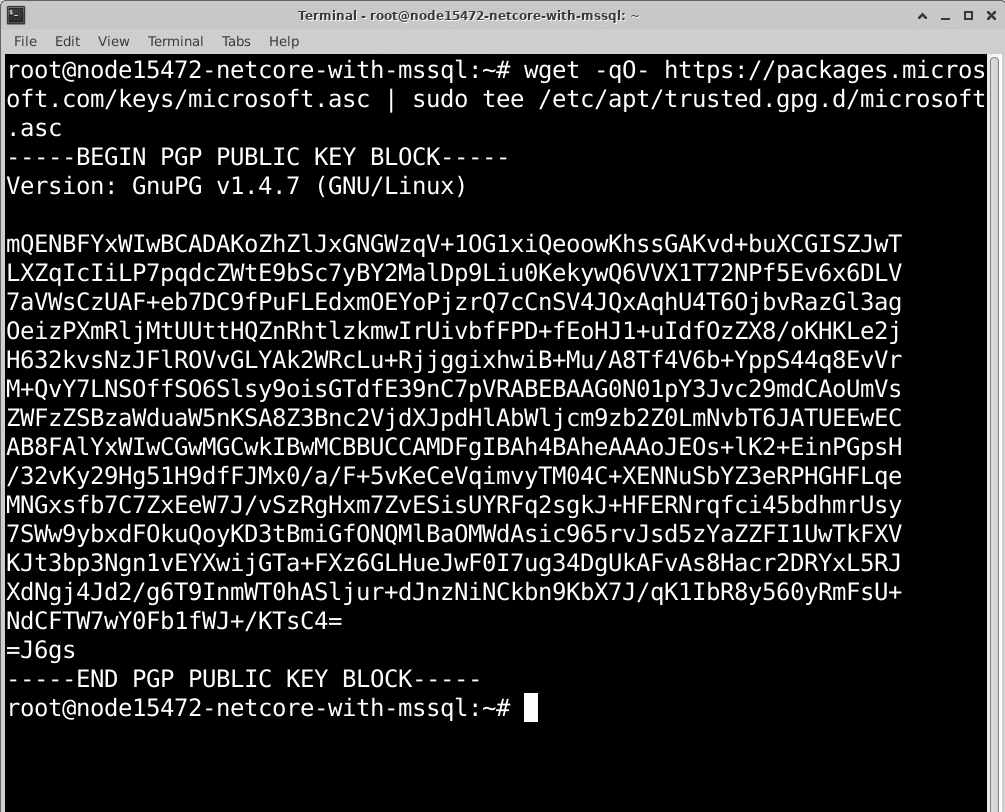 linux-net-core-mssql-08 linux-net-core-mssql-08